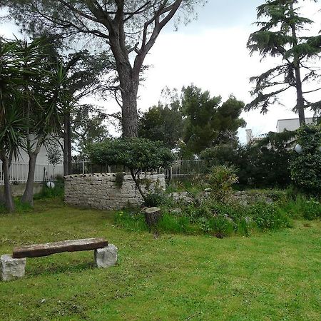 B&B Villa Garden Bisceglie Exteriör bild